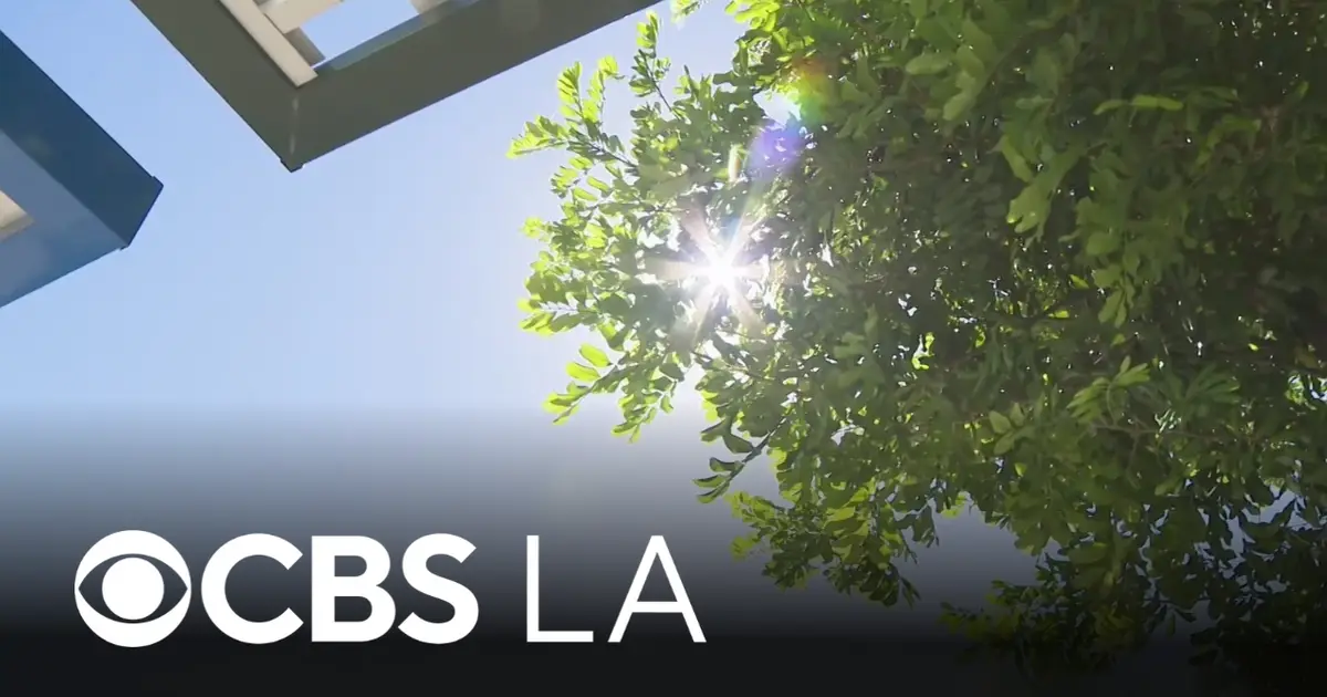 Los Angeles business owners say heat wave has affected their day-to-day operations