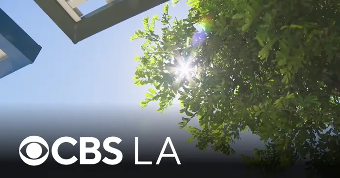 Los Angeles business owners say heat wave has affected their day-to-day operations